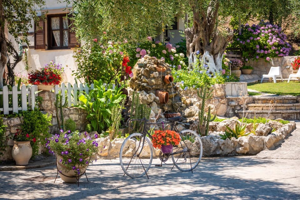 Garden, Garden view