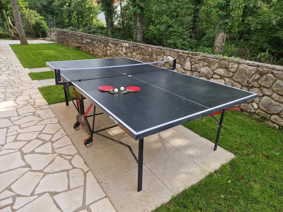 Table tennis