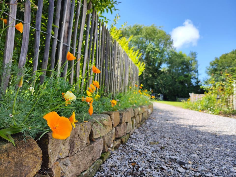 Spring, Garden, Garden view