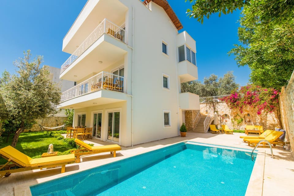 Garden, Swimming pool, sunbed