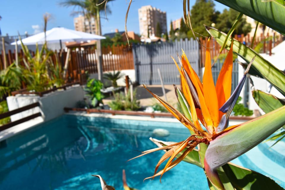 APART TURISTICOS MARINE REST LA MANGA MAR MENOR piscinas privadas Apartment in Region of Murcia