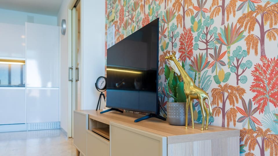 TV and multimedia
