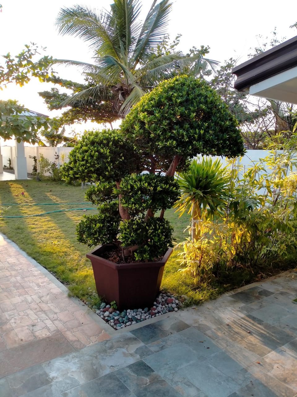 Garden view