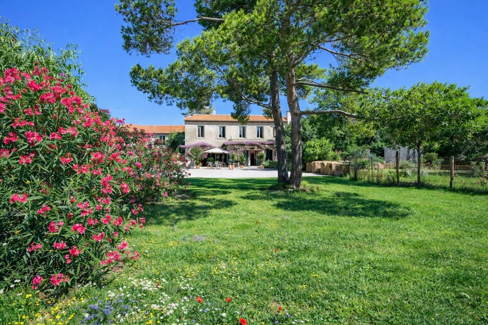 Maison Tara verte au Mas Montredon Bed and Breakfast in Arles