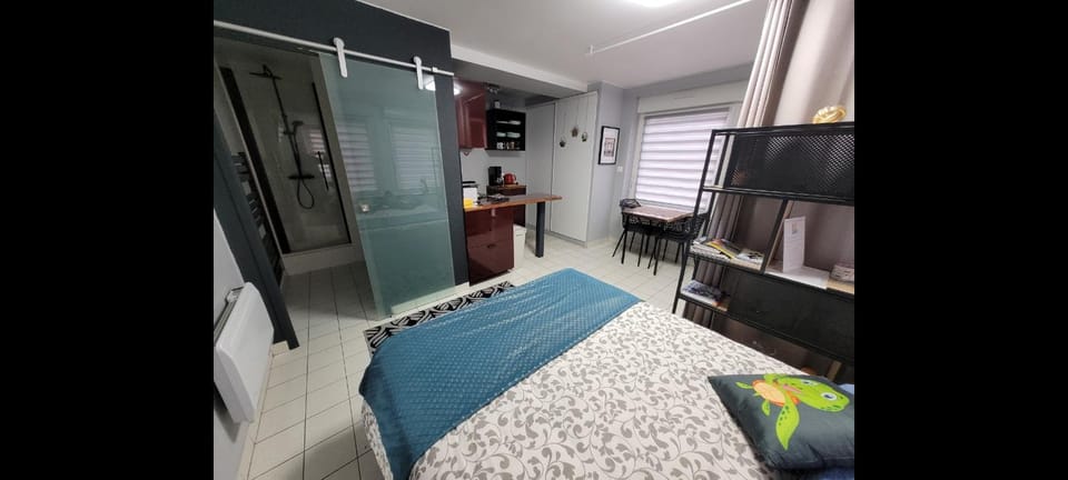 Studio calme brest centre _notre bout du monde Apartment in Brest