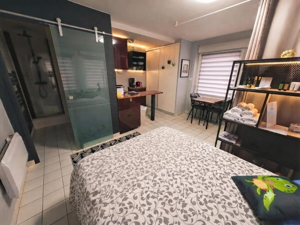 Studio calme brest centre _notre bout du monde Apartment in Brest