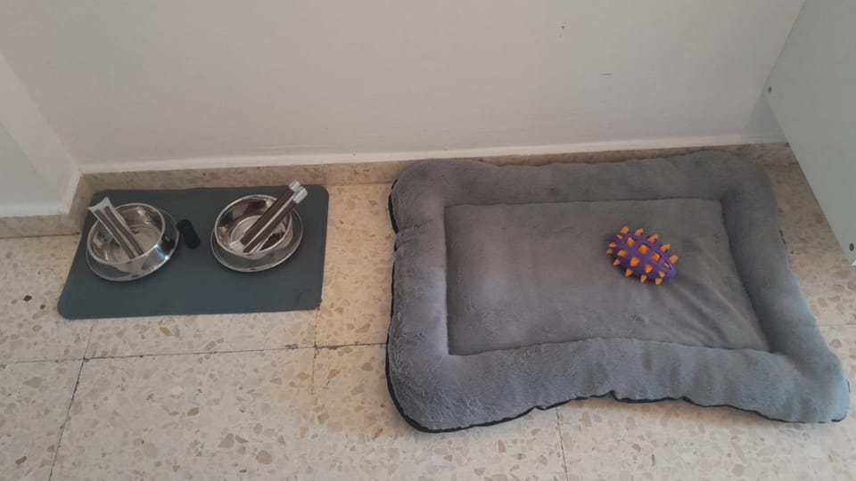 Pet Friendly Apto El Sendero Apartment in Sierra de Cádiz