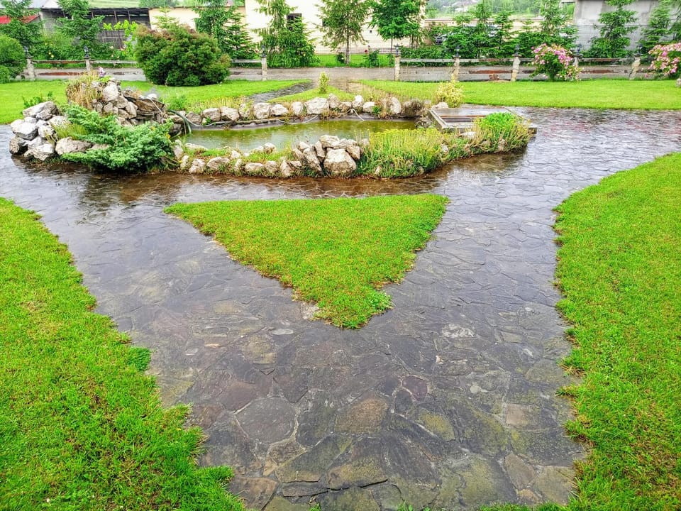 Natural Balkanic Bed and Breakfast in Romania