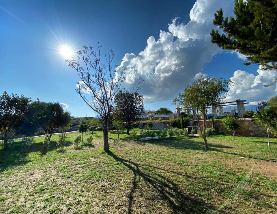 Natural landscape, Garden
