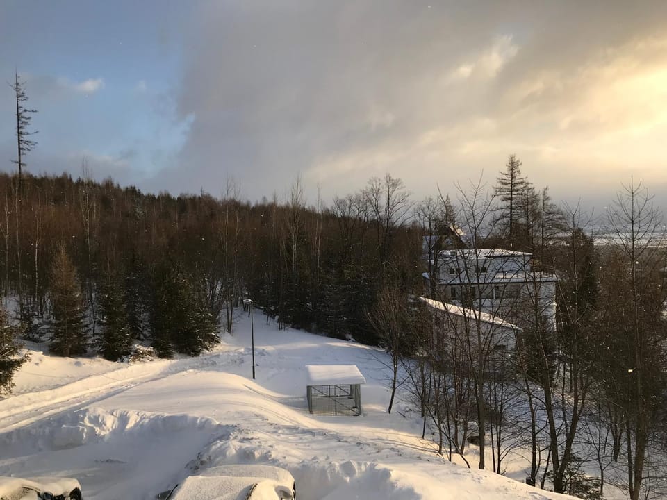Natural landscape, Winter