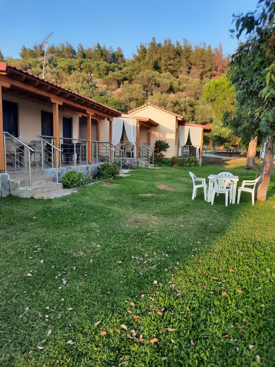 Natural landscape, Garden, Garden view