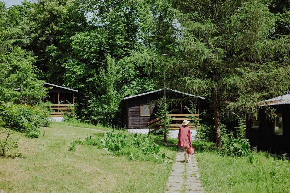 Property building, People, Natural landscape, Summer, Garden, View (from property/room), Garden view