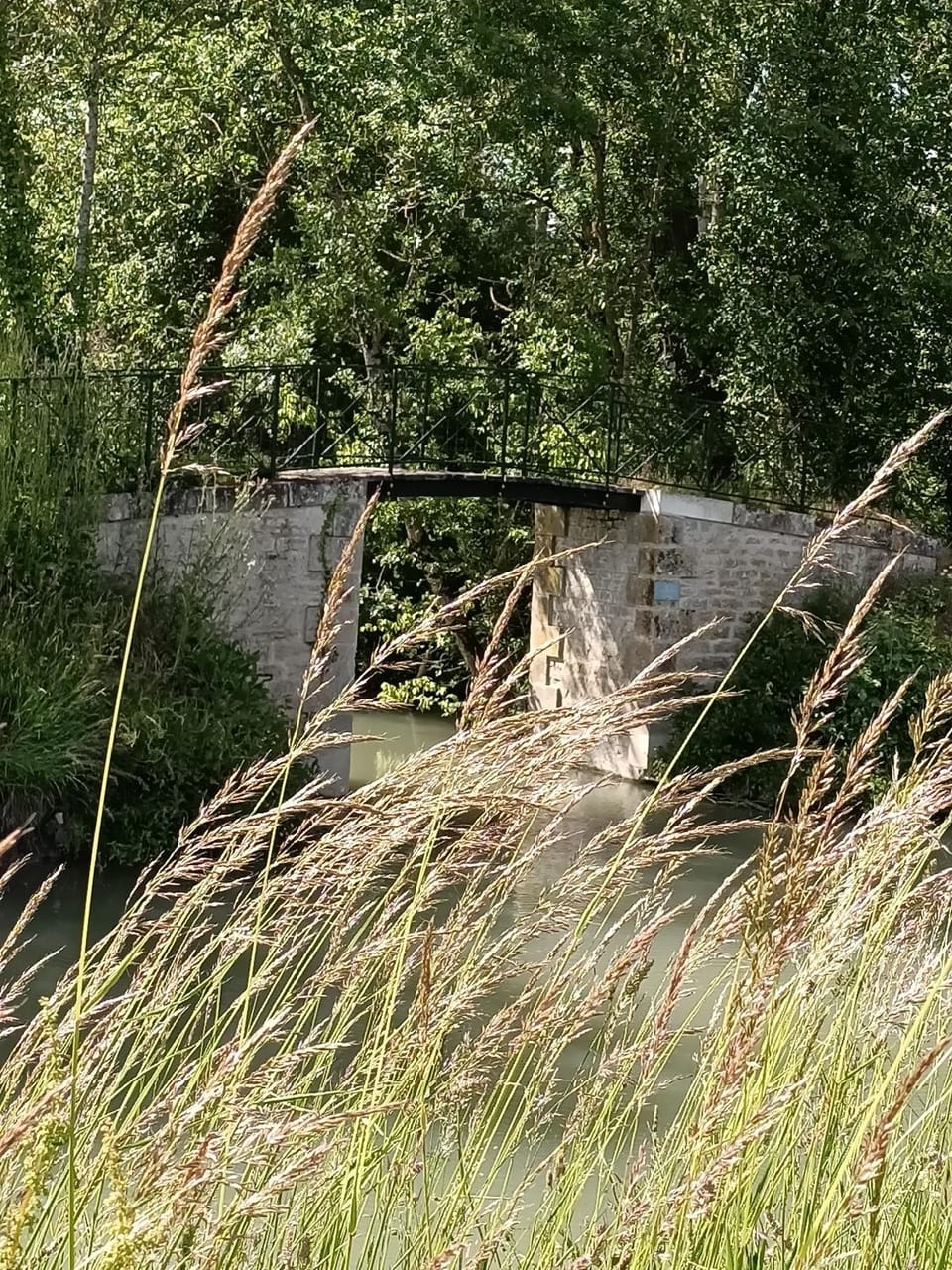 Natural landscape
