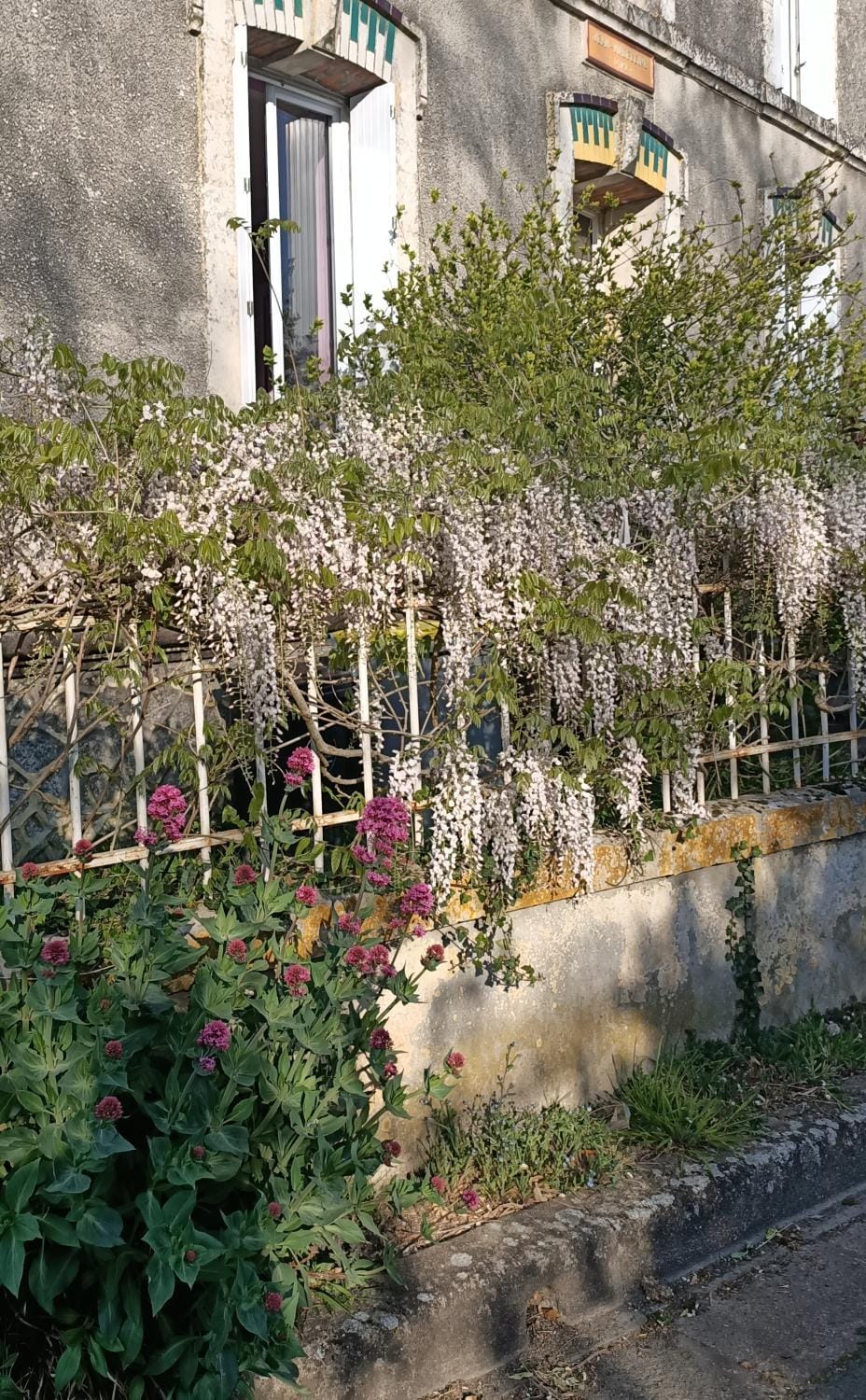 Property building, Spring