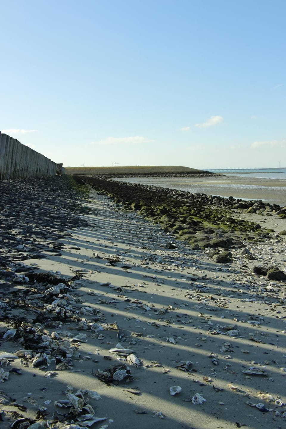 Zeeuwse Zot Bed and Breakfast in Kamperland