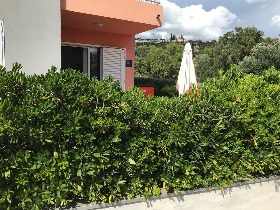 Patio, Facade/entrance