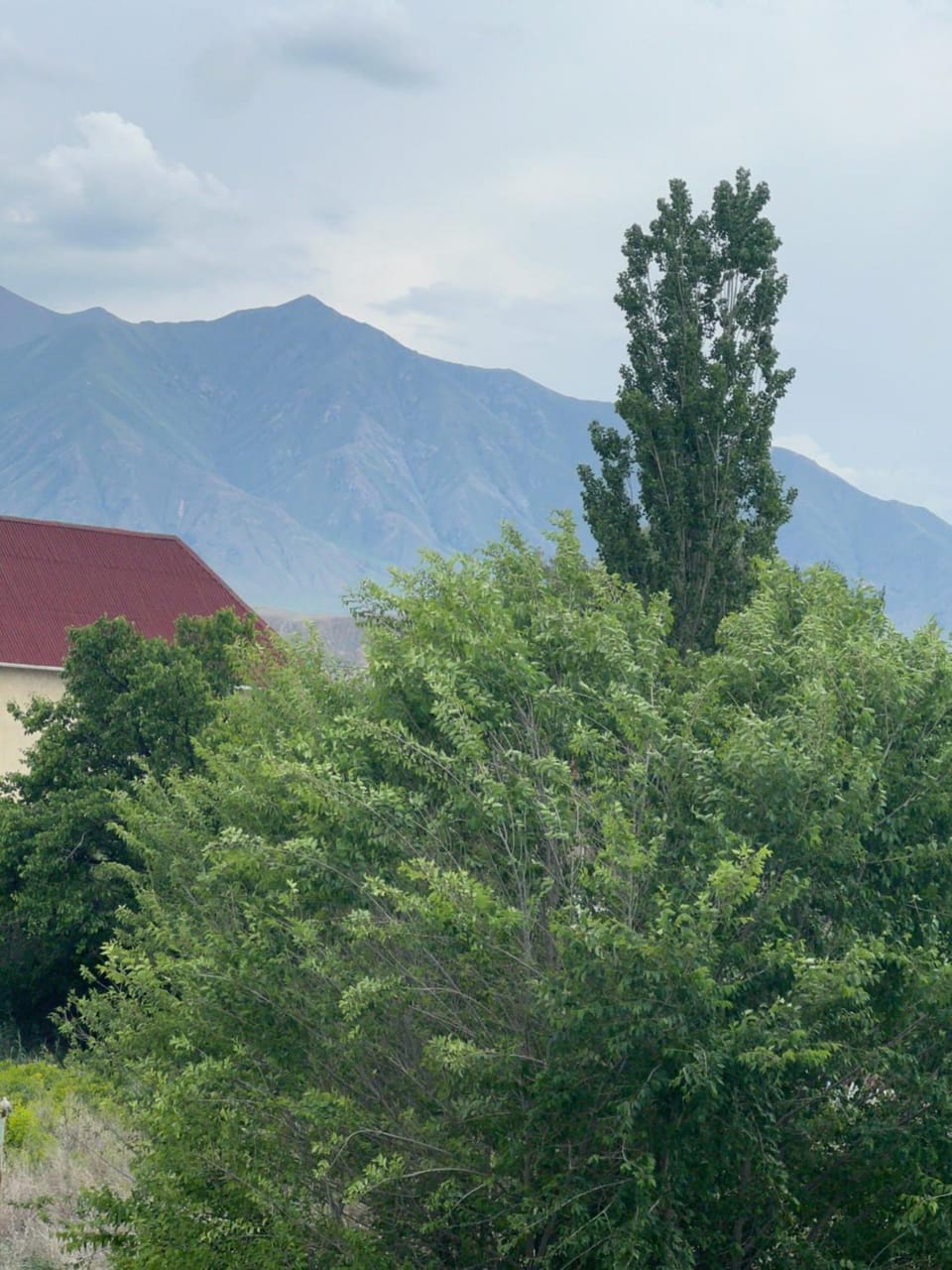 MALIKA Guest House Bed and Breakfast in Almaty Region, Kazakhstan