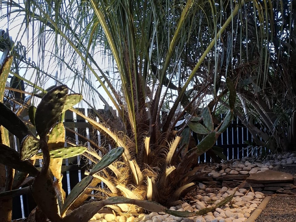 Opuntia (Pech) location en Méditerranée House in Occitanie