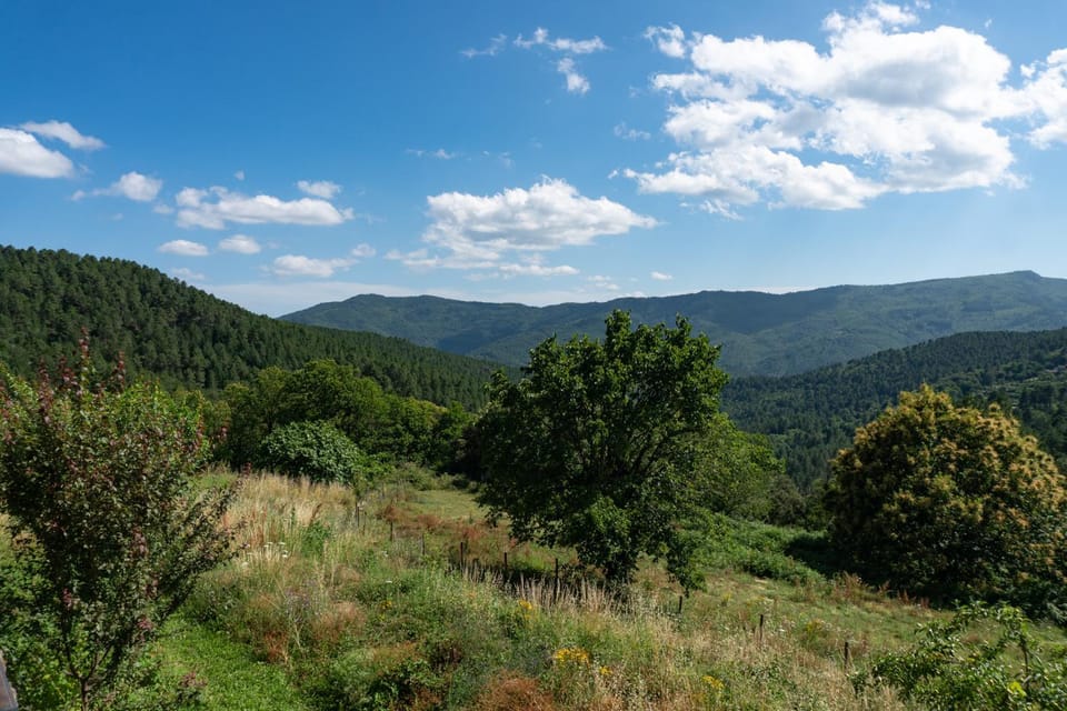 Day, Natural landscape, View (from property/room), Mountain view