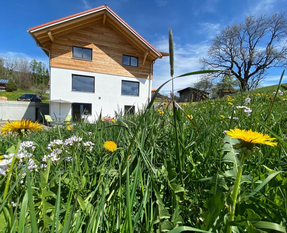 Property building, Spring