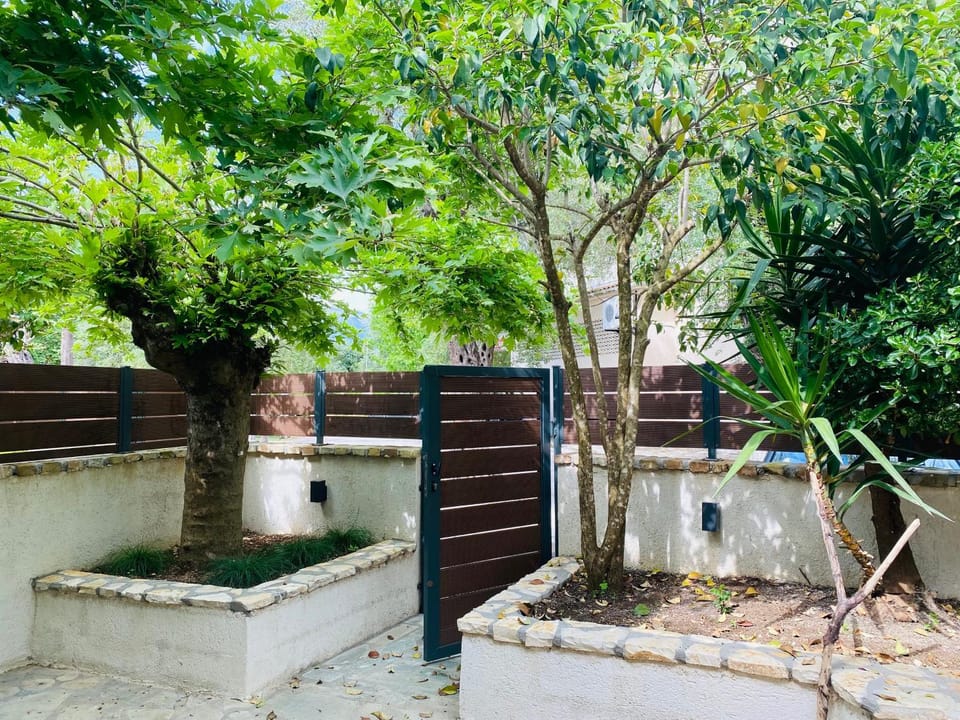 Spring, Day, Garden, Garden view