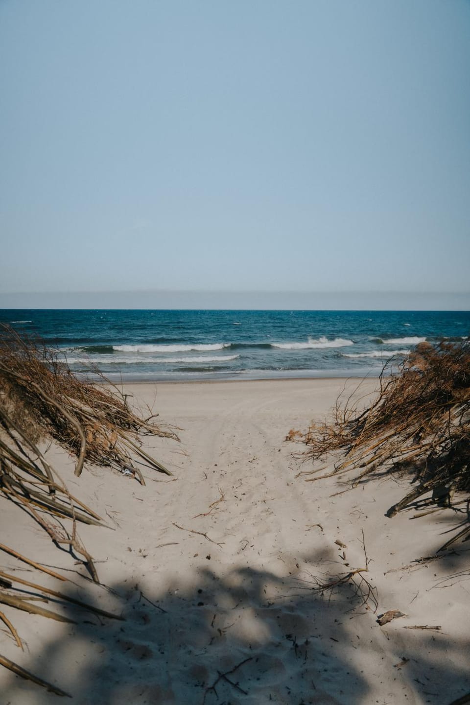 Spring, Off site, Day, Neighbourhood, Natural landscape, Activities, Summer, Other, Beach, Seasons, Time of day, Location, pet friendly