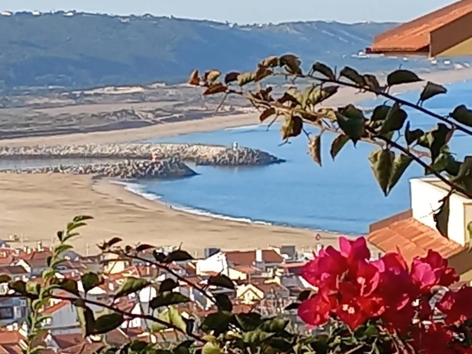 Apartamentos Bela Vista Apartment in Nazaré