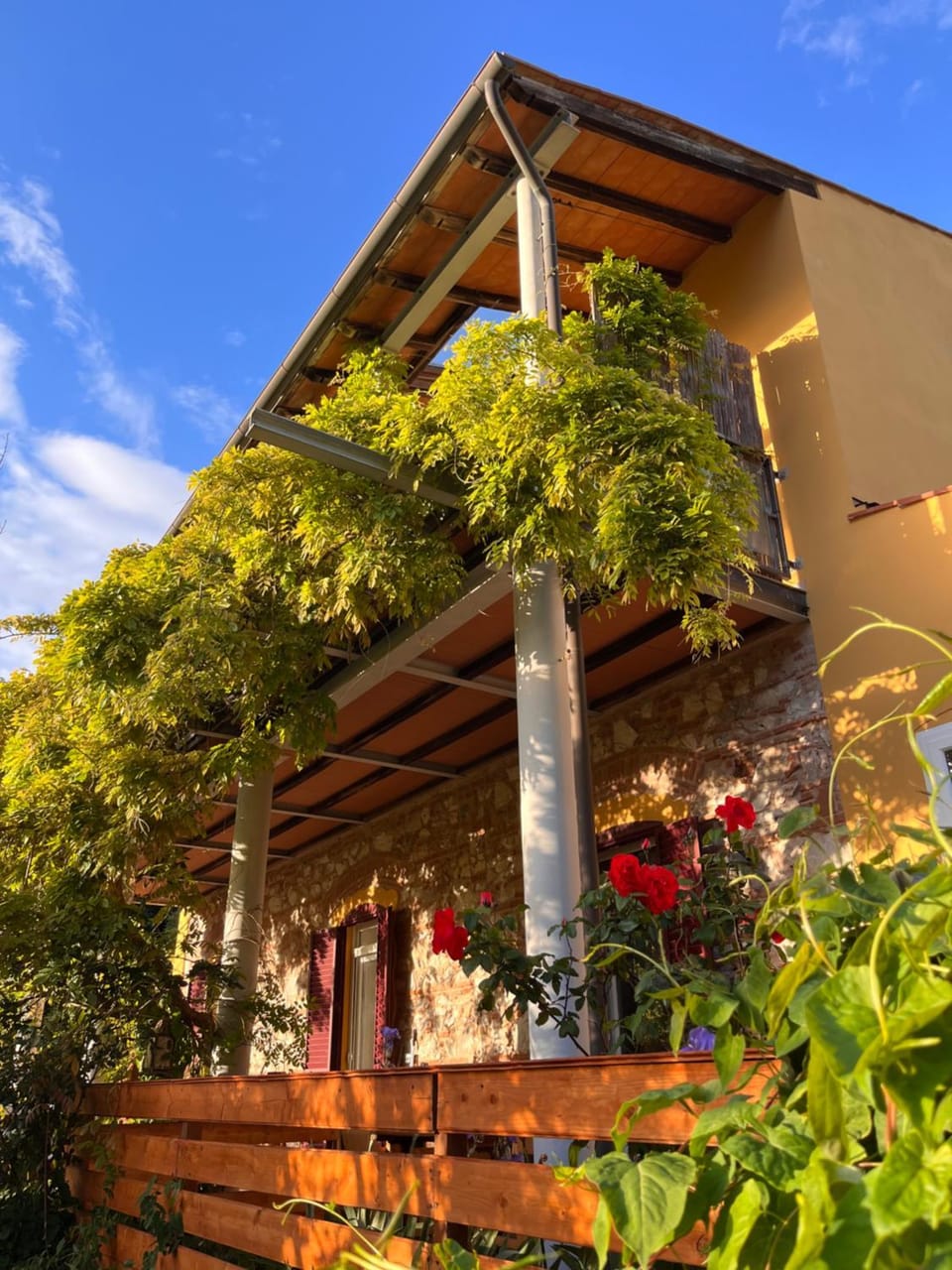 B&B La Fucinaia Pet Friendly Adults only Bed and Breakfast in San Vincenzo
