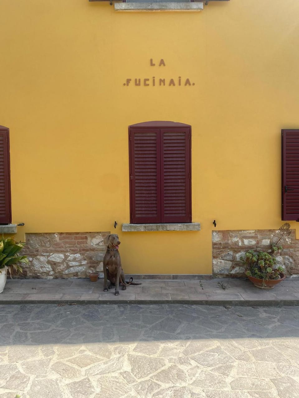B&B La Fucinaia Pet Friendly Adults only Bed and Breakfast in San Vincenzo