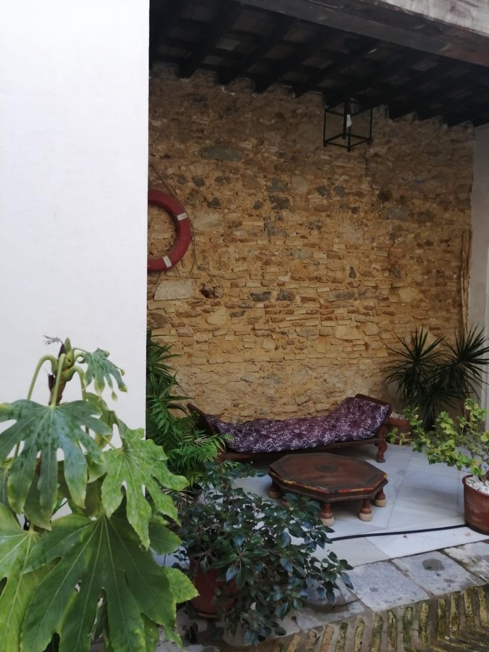 Garden view