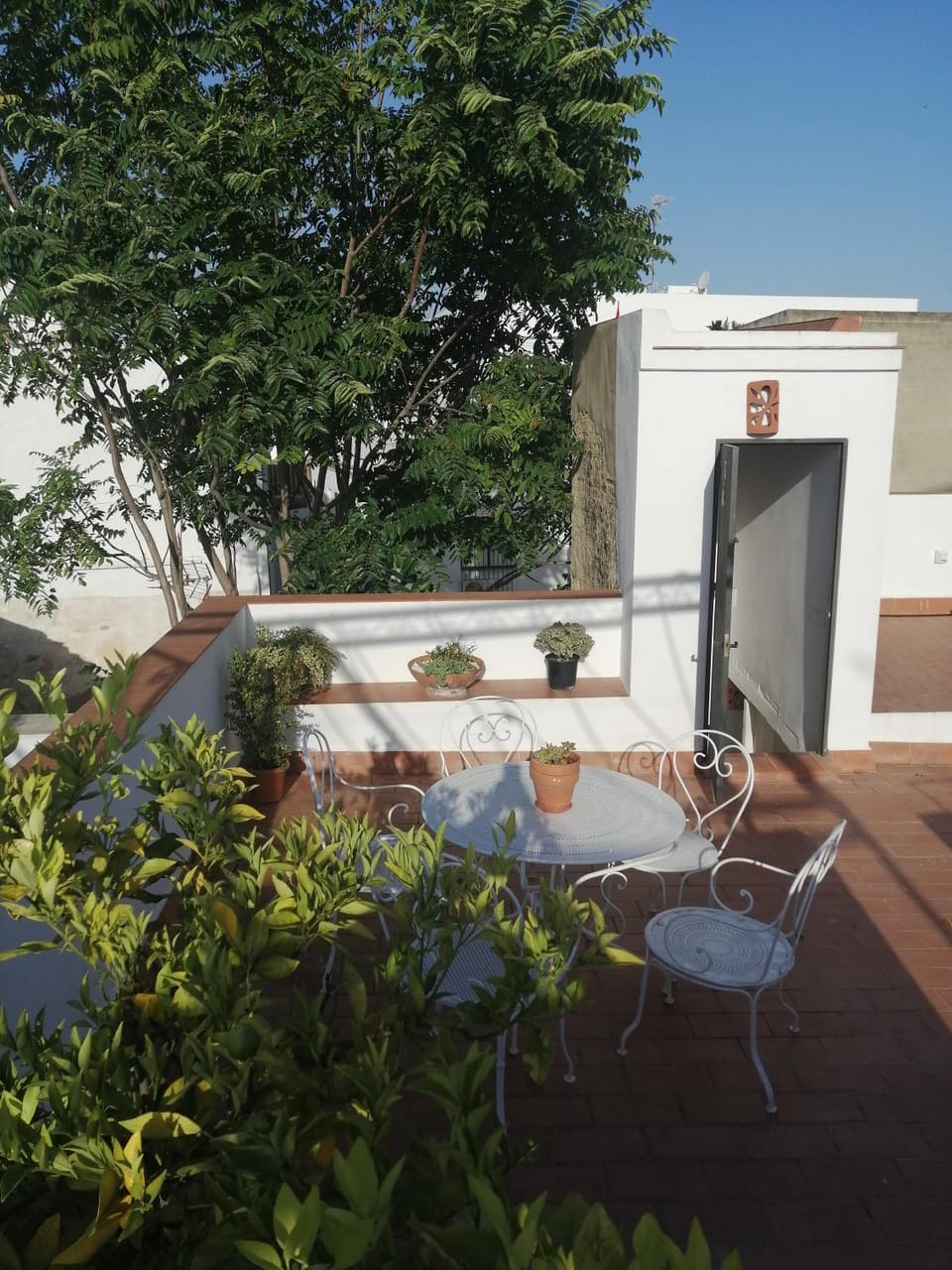 Balcony/Terrace