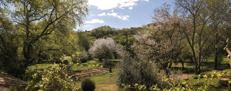 Property building, Garden view