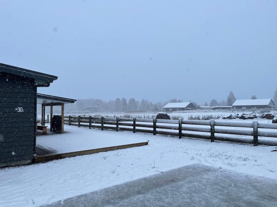 Patio, Natural landscape, Winter, Garden, View (from property/room)