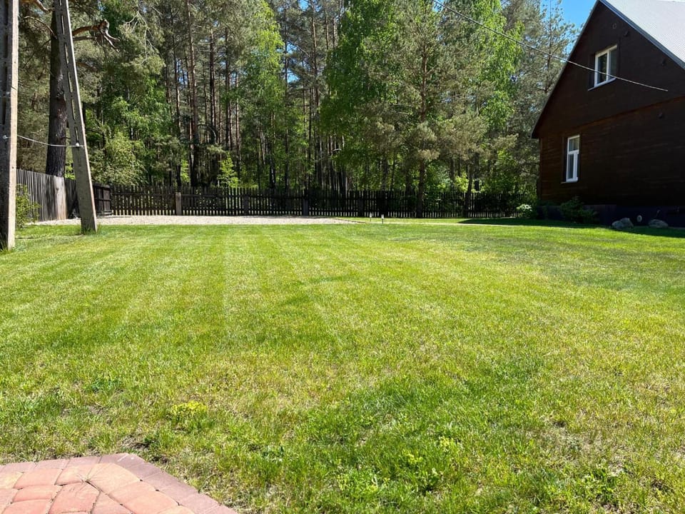 Natural landscape, Garden, Parking