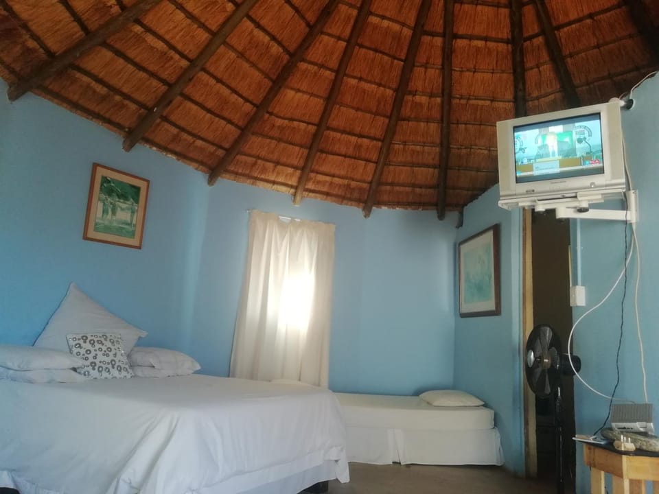 Communal lounge/ TV room, Bed, TV and multimedia