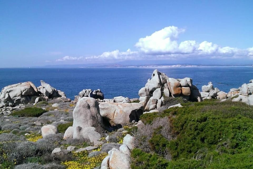 Sea view