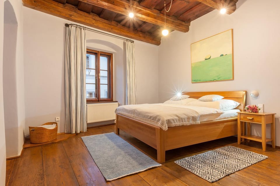 Babyka Apartments Apartment in Cesky Krumlov
