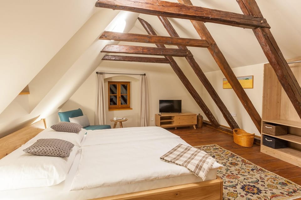 Babyka Apartments Apartment in Cesky Krumlov