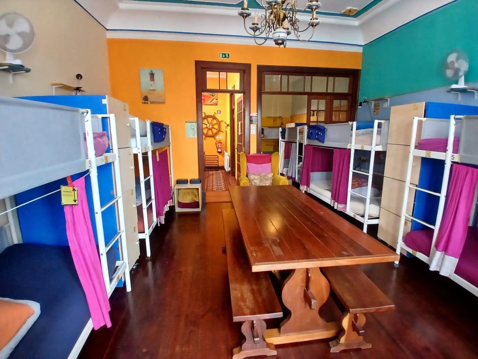 Bed, Photo of the whole room, Bedroom, bunk bed