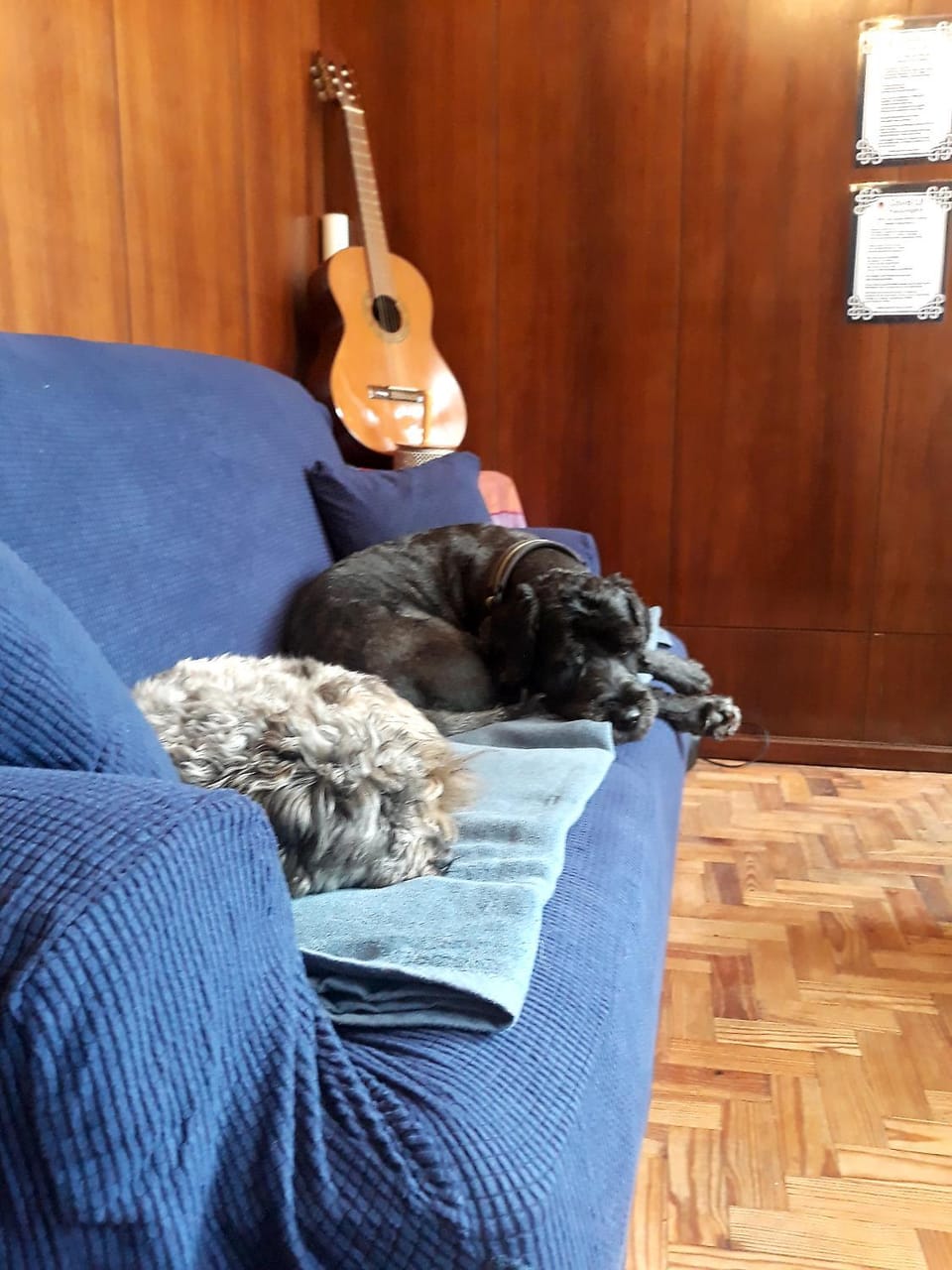 Lobby or reception, Seating area, Pets, pet friendly