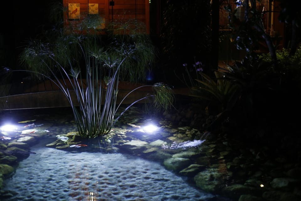 Night, Garden, Garden view