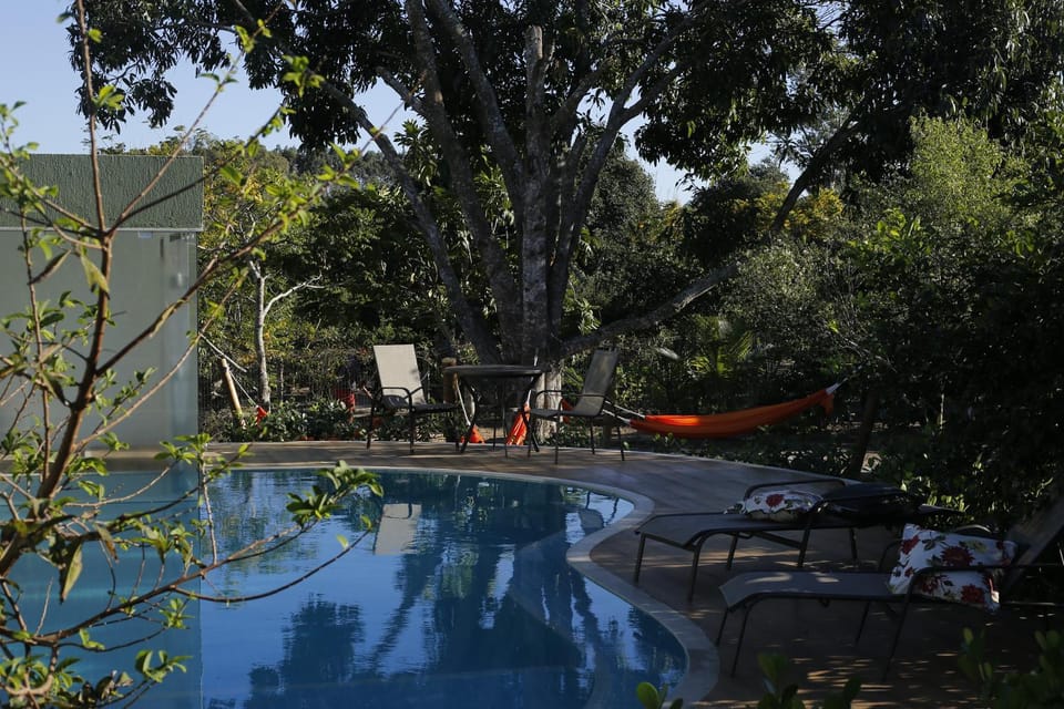 Natural landscape, Garden, Pool view, Swimming pool, sunbed