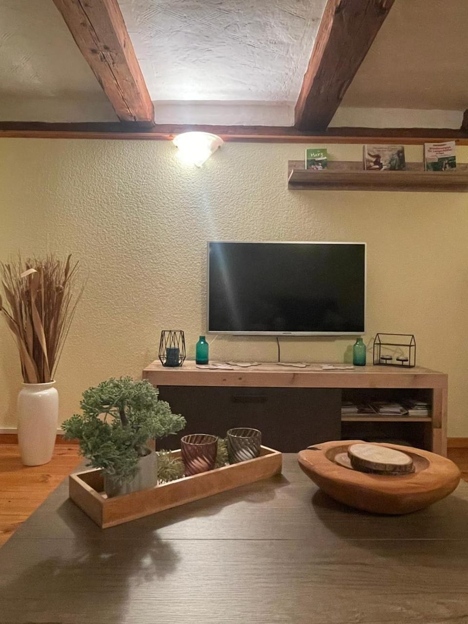 TV and multimedia