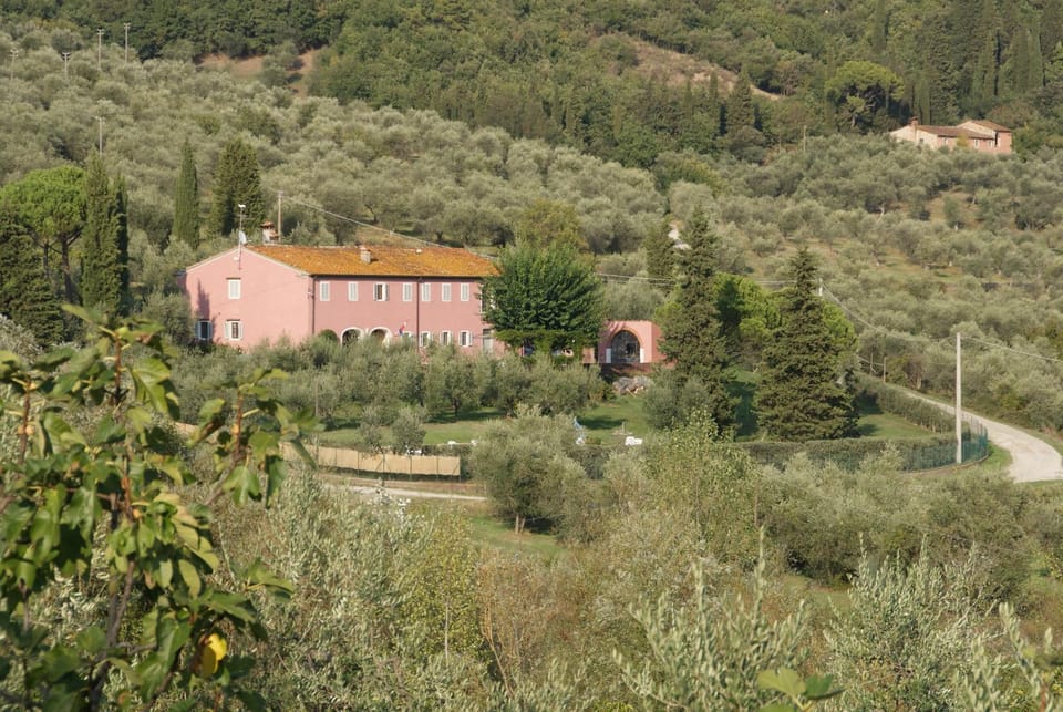 Bird's eye view, Garden view