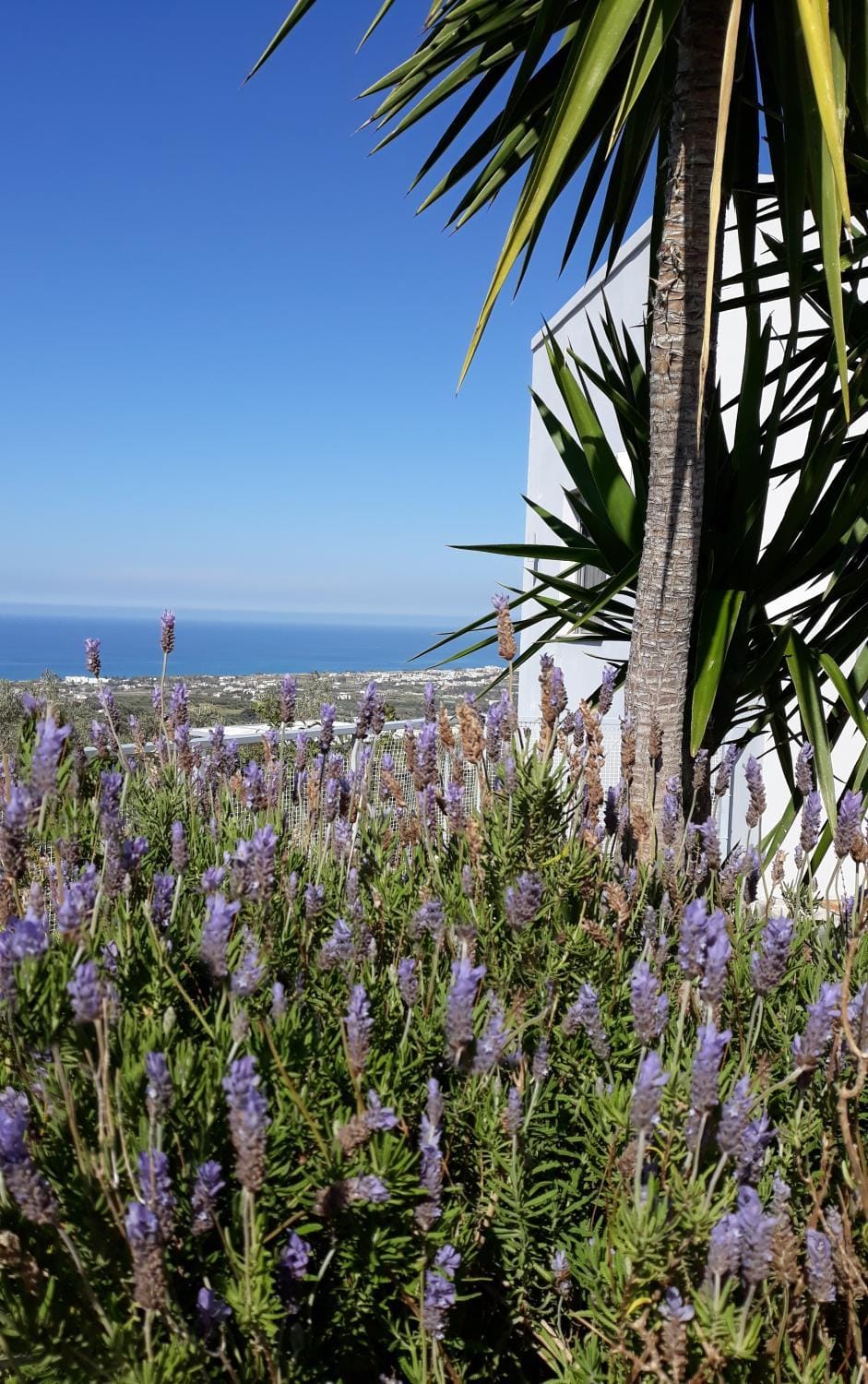Day, Natural landscape, Garden, Garden view, Sea view