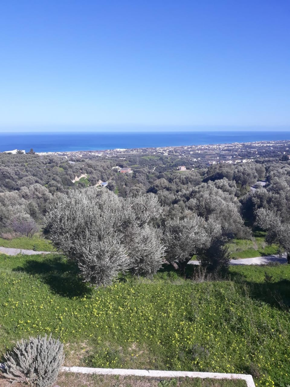 Natural landscape, Bird's eye view, Garden, Sea view