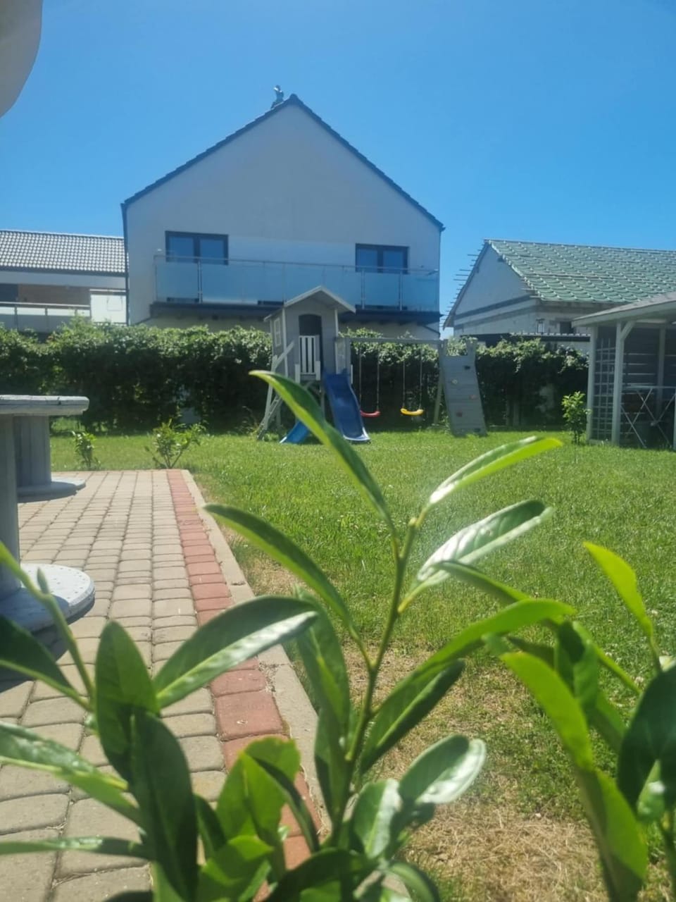 Spring, Garden, Garden view