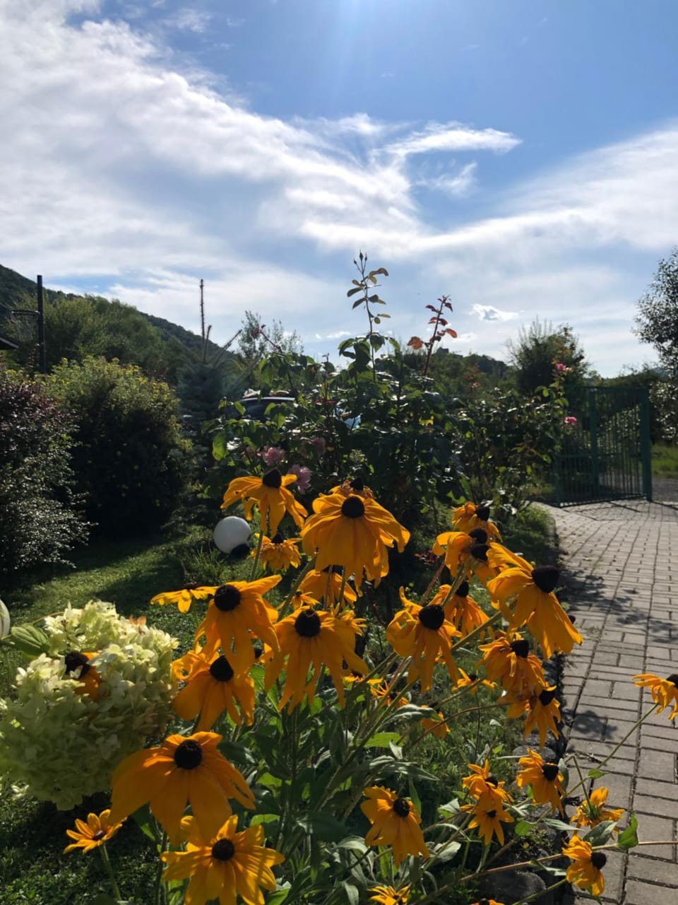 Pensiunea Casa cu Flori Bed and Breakfast in Romania