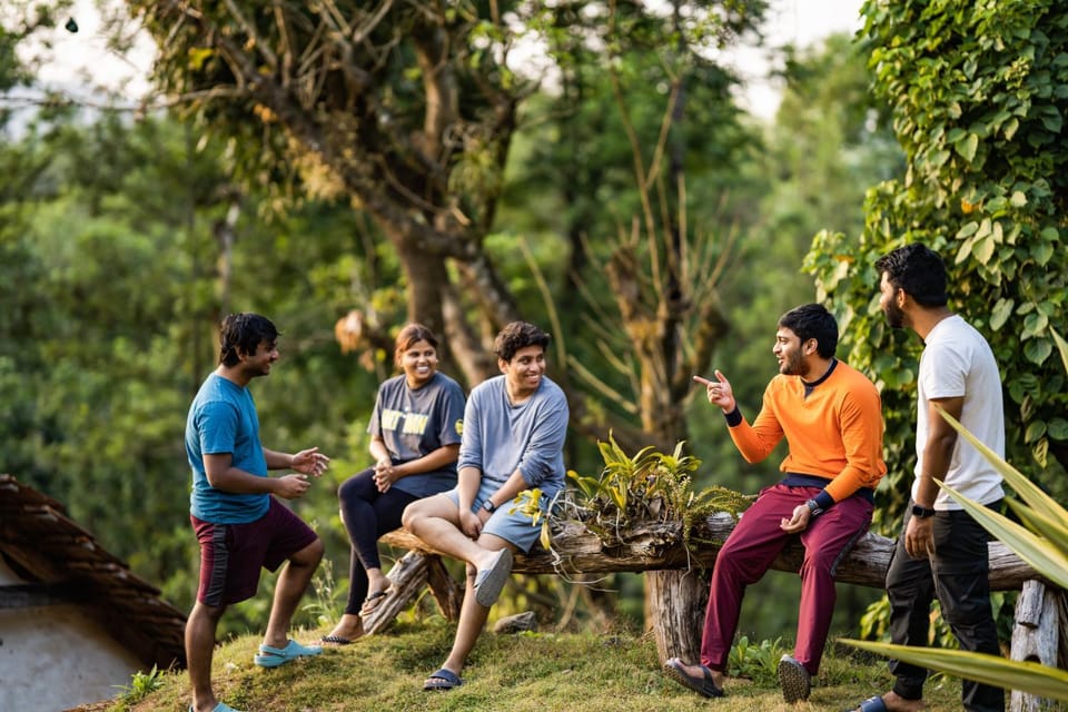 Natural landscape, Garden, Garden view, group of guests