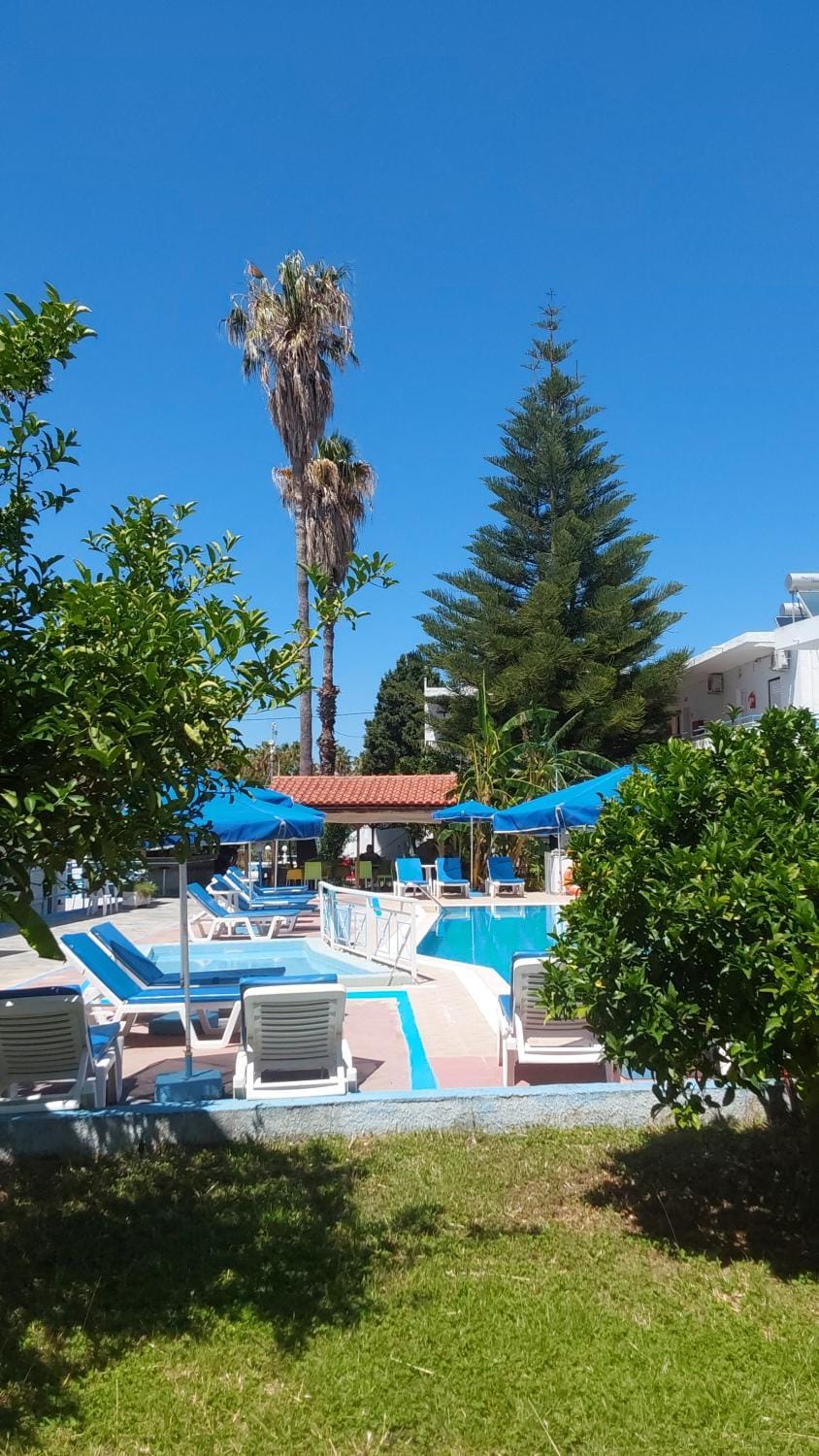 Spring, Day, Garden, Garden view, Pool view, Swimming pool, sunbed